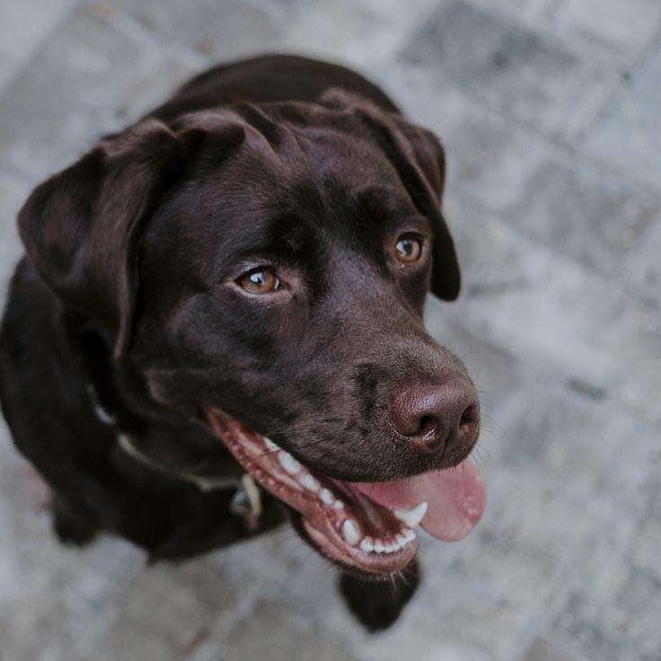 Tariq Kapoor, Client Relations Director, discussing corporate gifting strategy with business clients